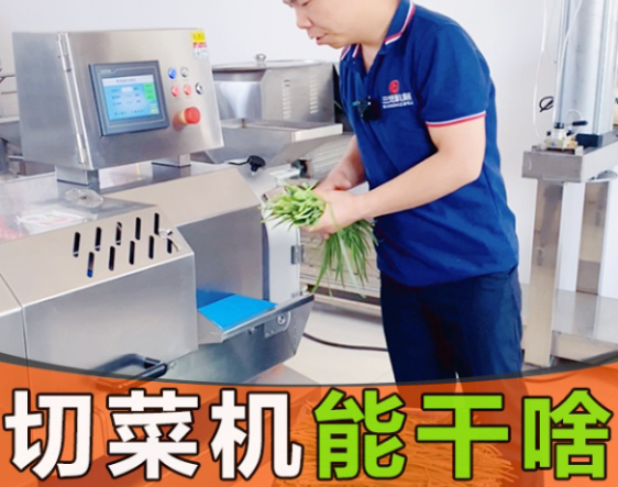 切菜機分為大中小型號，到底能切什么菜？